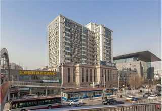 黑龙江袋装抹茶粉